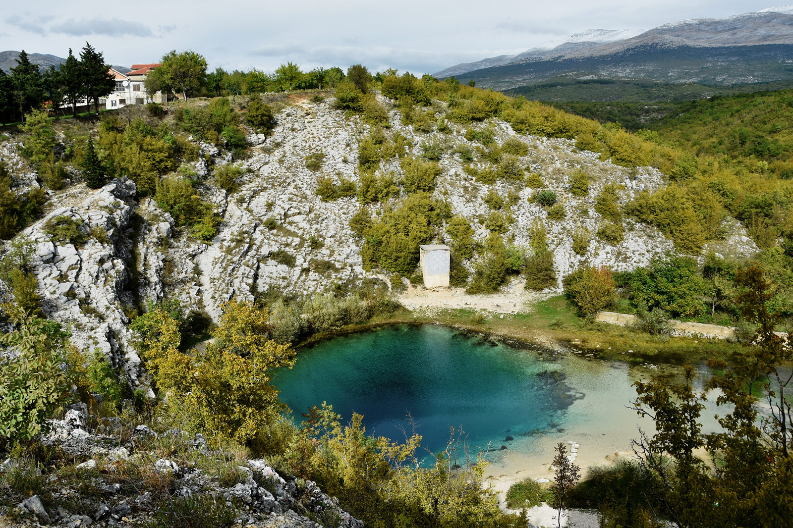 Cetina